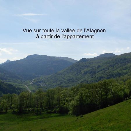 Vacances Au Pied Des Monts Du Cantal Laveissière Eksteriør bilde