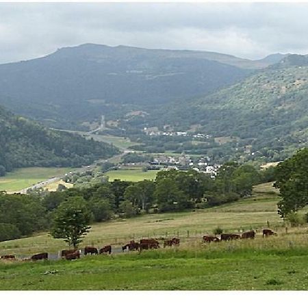 Vacances Au Pied Des Monts Du Cantal Laveissière Eksteriør bilde
