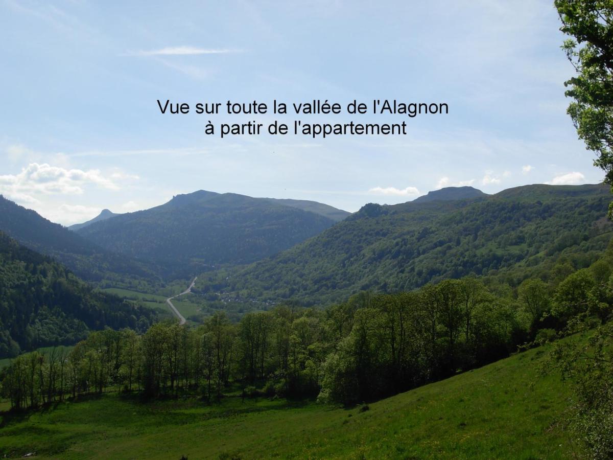 Vacances Au Pied Des Monts Du Cantal Laveissière Eksteriør bilde