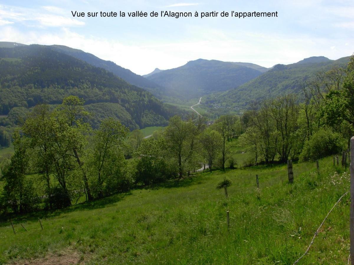 Vacances Au Pied Des Monts Du Cantal Laveissière Eksteriør bilde