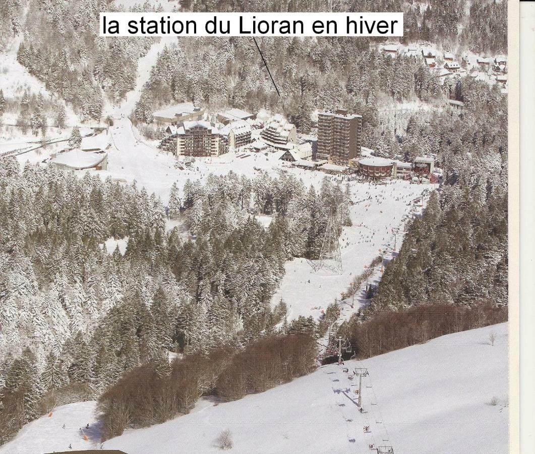 Vacances Au Pied Des Monts Du Cantal Laveissière Eksteriør bilde