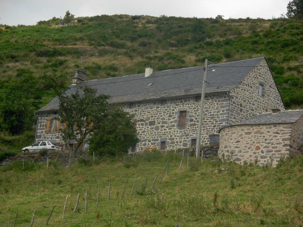 Vacances Au Pied Des Monts Du Cantal Laveissière Eksteriør bilde